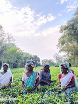 For Rights and Returns - How empowering women transforms markets