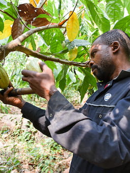 Living income and living wage tools support effective due diligence