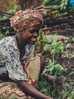 Five years of the IDH Farmfit Fund: Five key trends from our journey so far